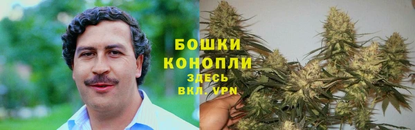 каннабис Алзамай