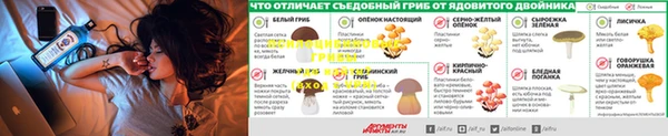 винт Алексин