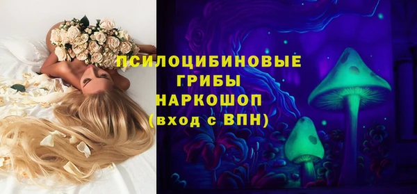 винт Алексин